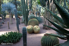 Jardin Majorelle